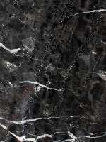 ../photos/Italian natural marbles/champaign grey.JPG